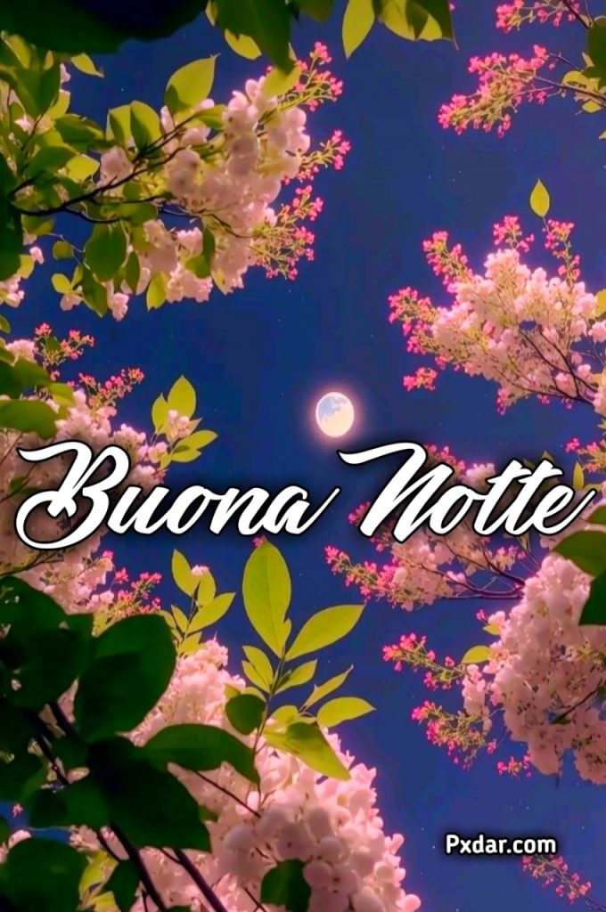 Pietra Rosa Nuovissimo Buonanotte Immagini Recenti Gratis Per Whatsapp