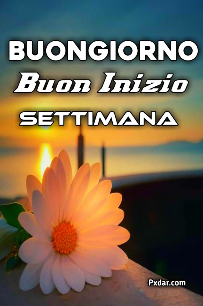 Raggio Di Sole Buongiorno Buon Inizio Settimana