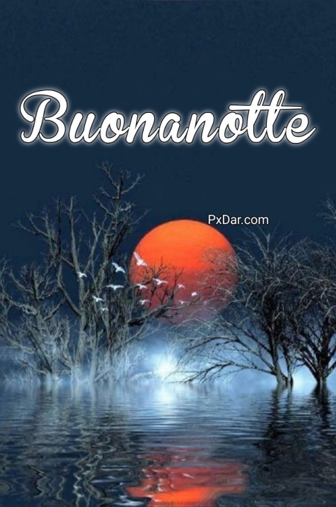 Recente Buonanotte Speciale