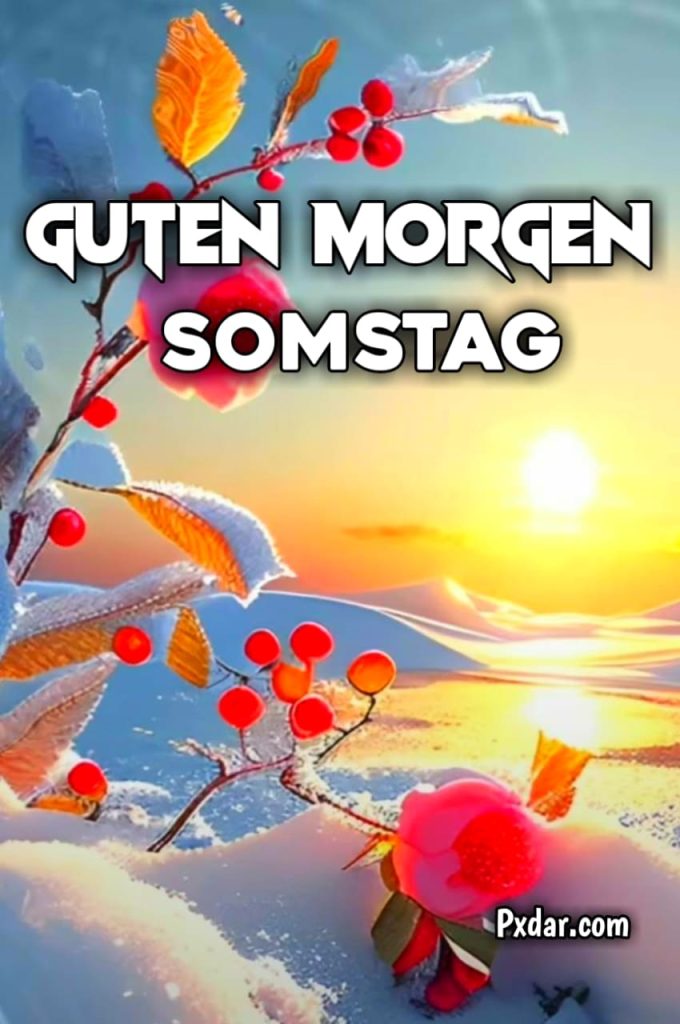 Samstag Guten Morgen Grüße