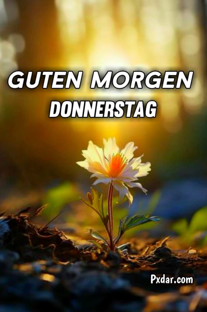 Schön Guten Morgen Donnerstag