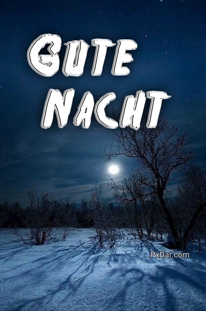 Schönen Abend Und Gute Nacht Winter