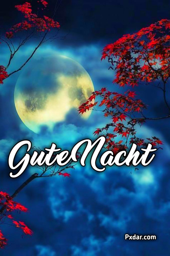 Schönen Abend Und Später Eine Gute Nacht Winter