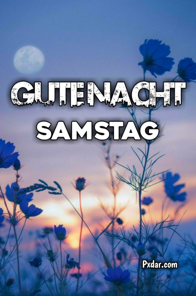 Schönen Samstag Abend Und Gute Nacht Bilder