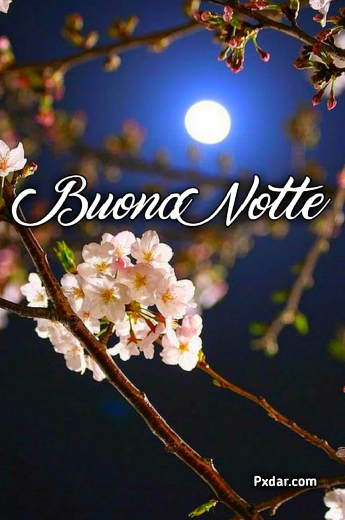 Semplice Buonanotte