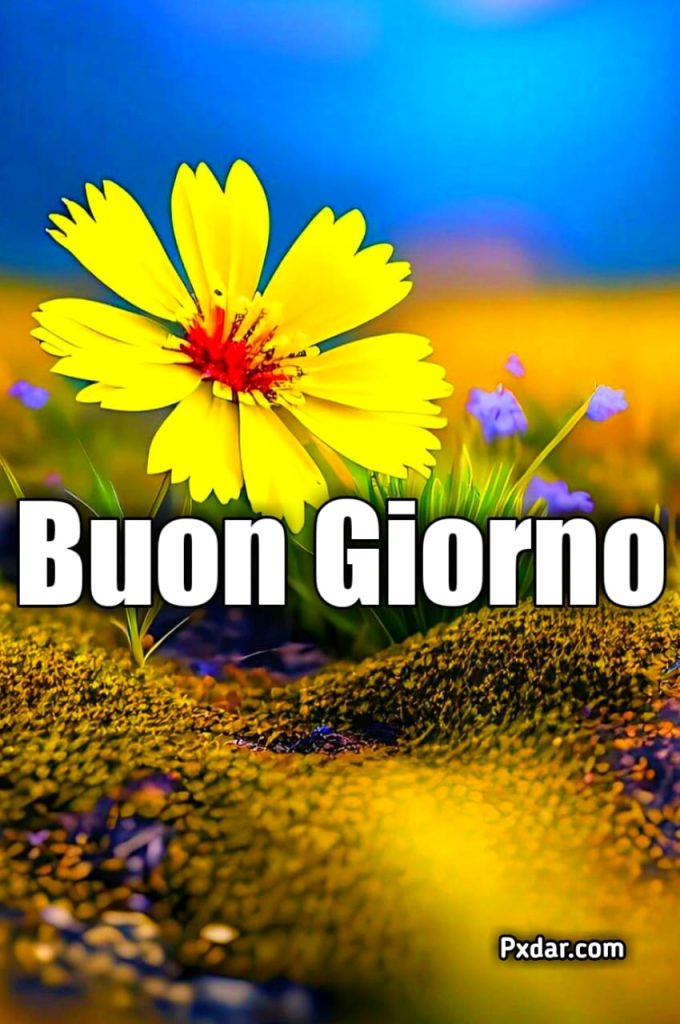 Semplicemente Buona Giornata