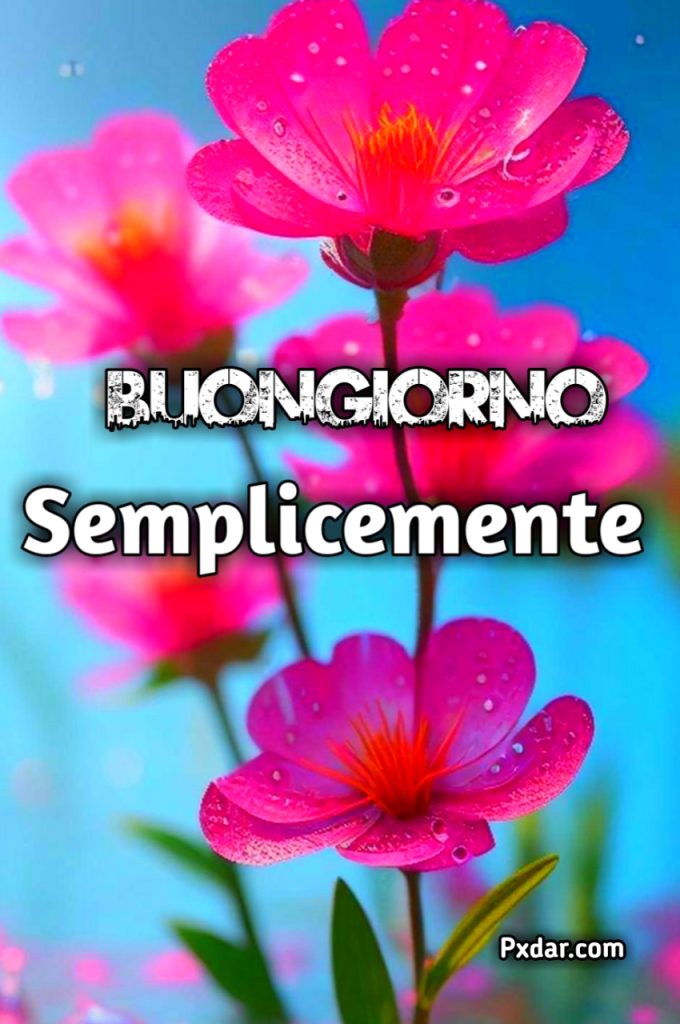 Semplicemente Buongiorno