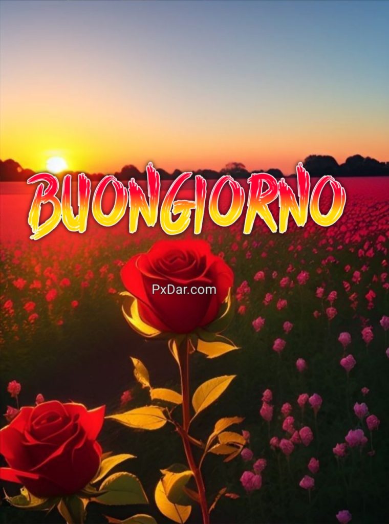 Semplicemente Buongiorno Immagini Nuove