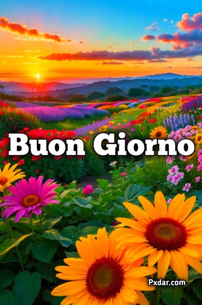 Semplicemente Buongiorno Immagini Nuove Divertenti