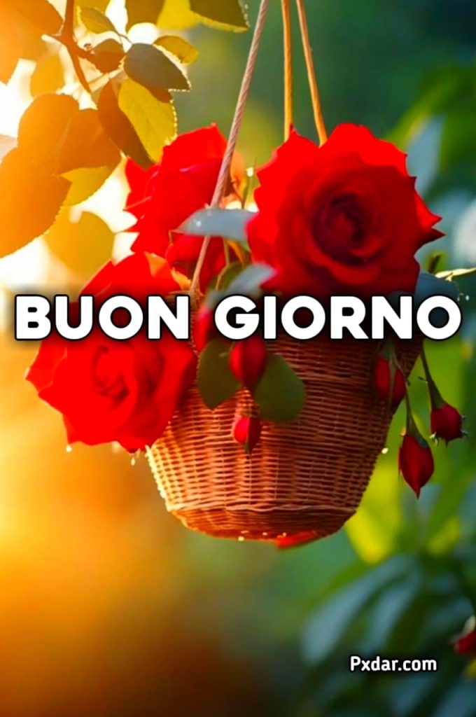 Semplicemente Buongiorno Immagini Nuove Domenica