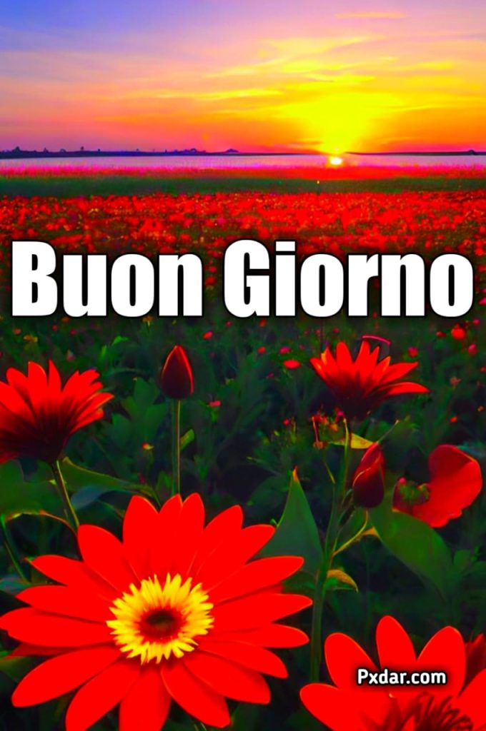 Semplicemente Buongiorno Immagini Nuove Gratis Per Whatsapp