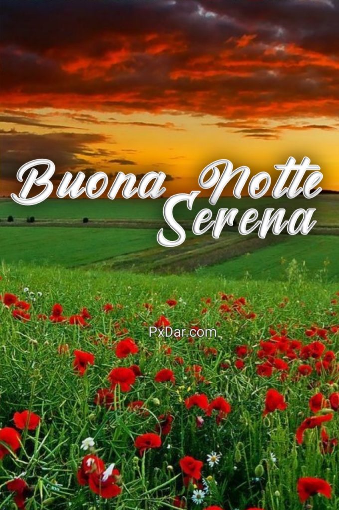 Serena Buona Notte Immagini