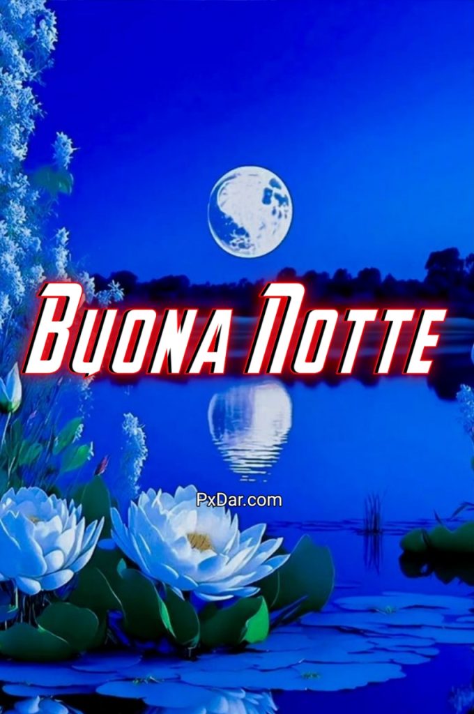 Serena Notte