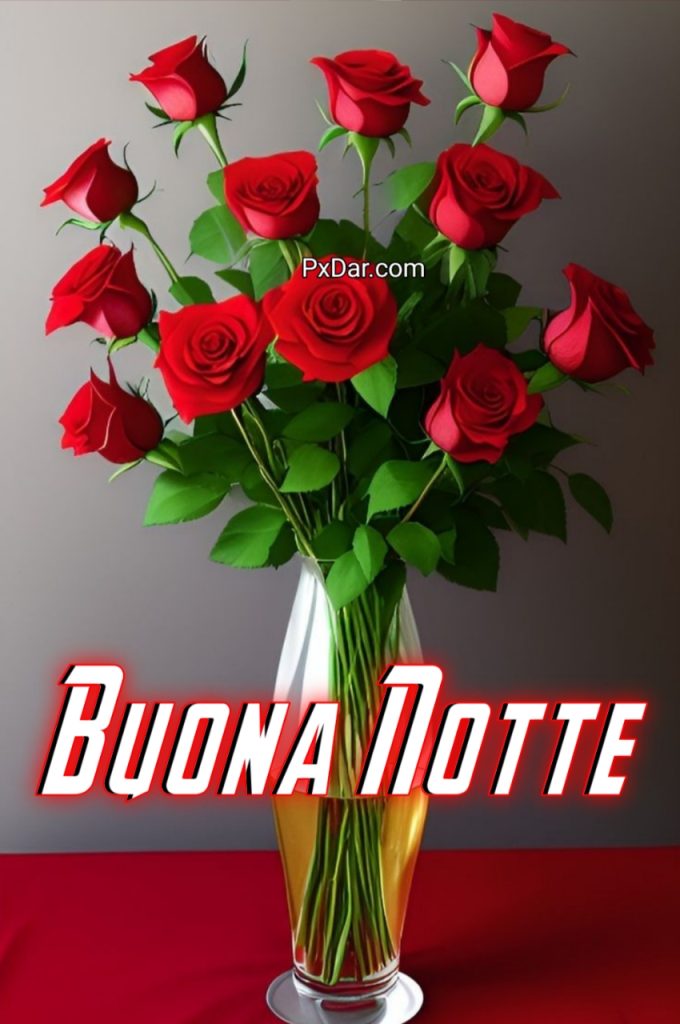 Serena Notte Buon Riposo