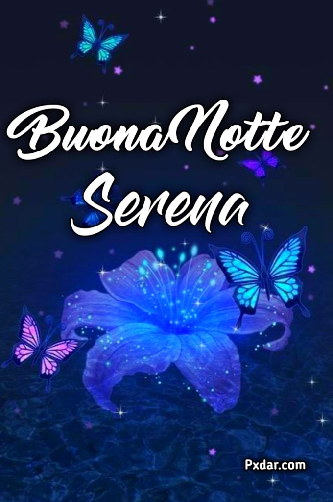 Serena Notte Immagini