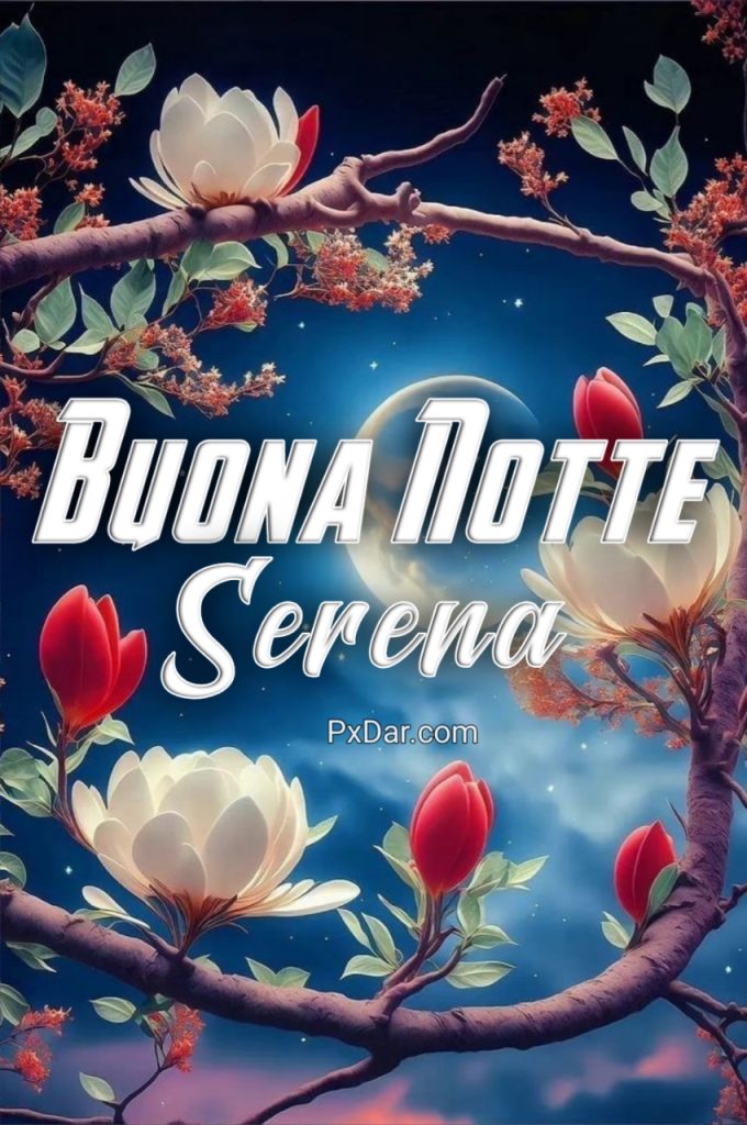 Serena Serata E Buona Notte