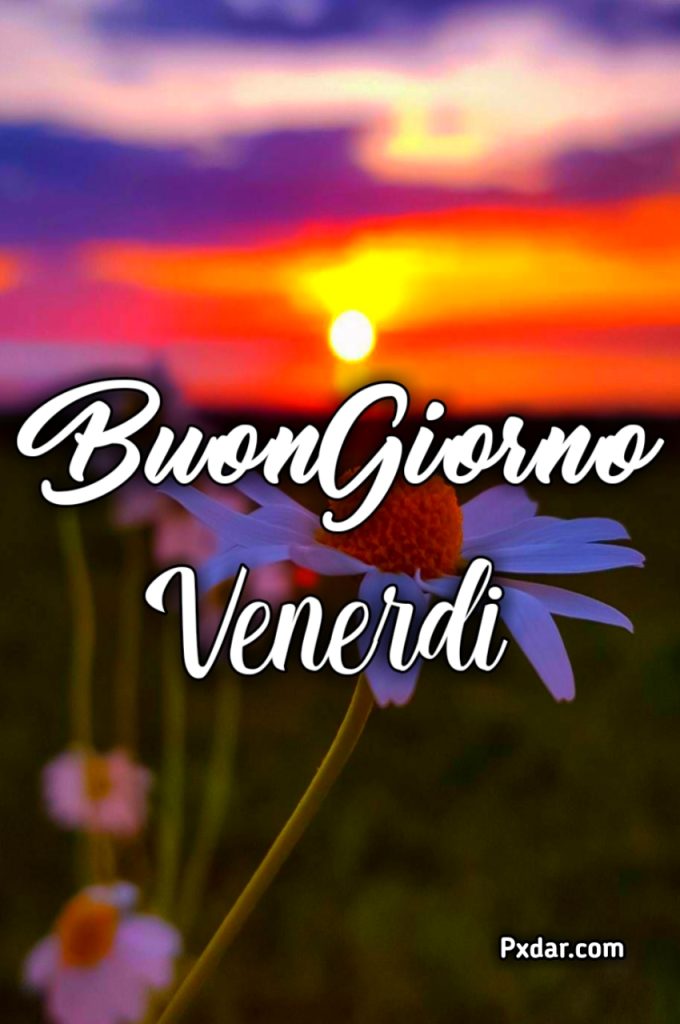 Simpaticissimo Buon Venerdì