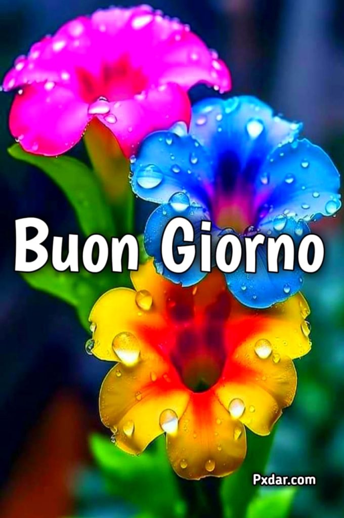 Simpatico Buongiorno Whatsapp