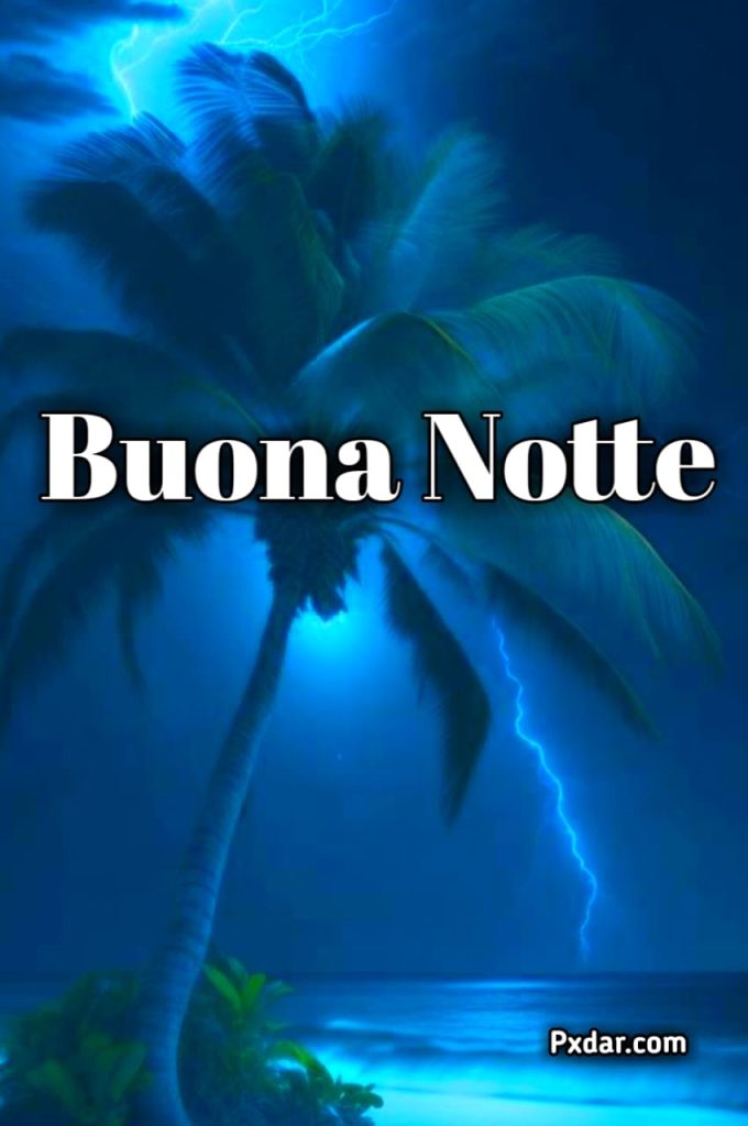 Simpatico Divertente Animato Buonanotte