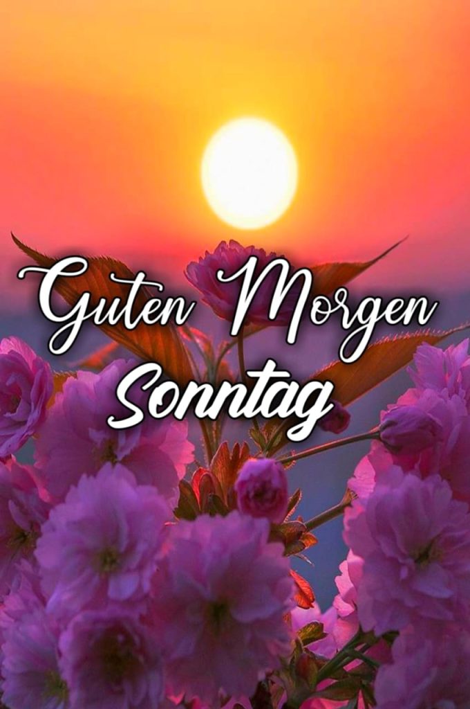 Sonntag Guten Morgen