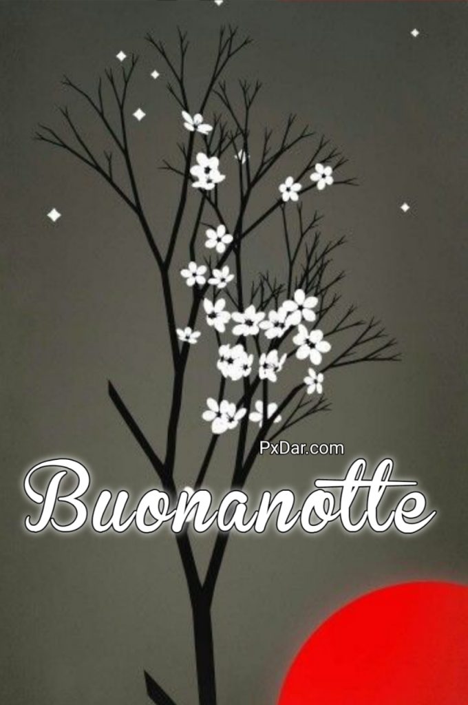 Speciale Buonanotte