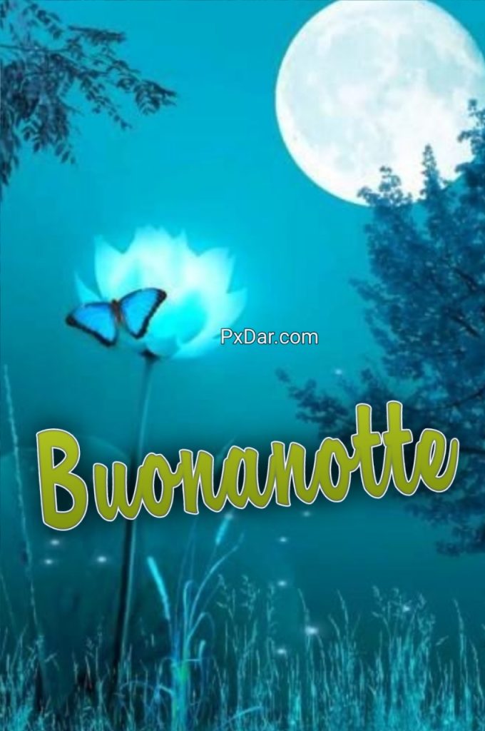 Speciale Buonanotte Amore Mio