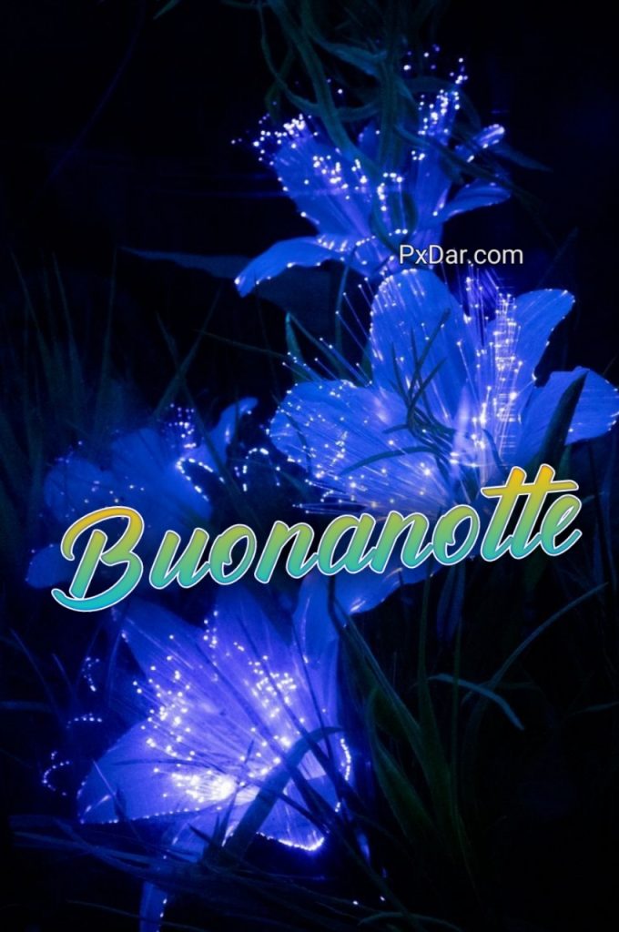 Speciale Immagini Buonanotte Belle