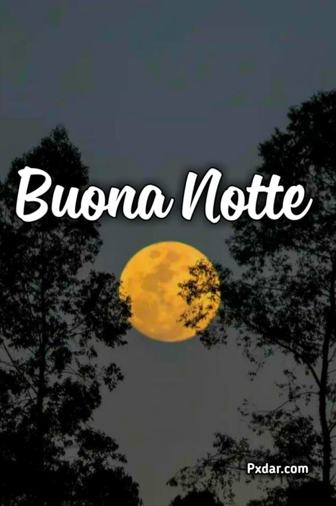 Spiritoso Buonanotte Simpatica