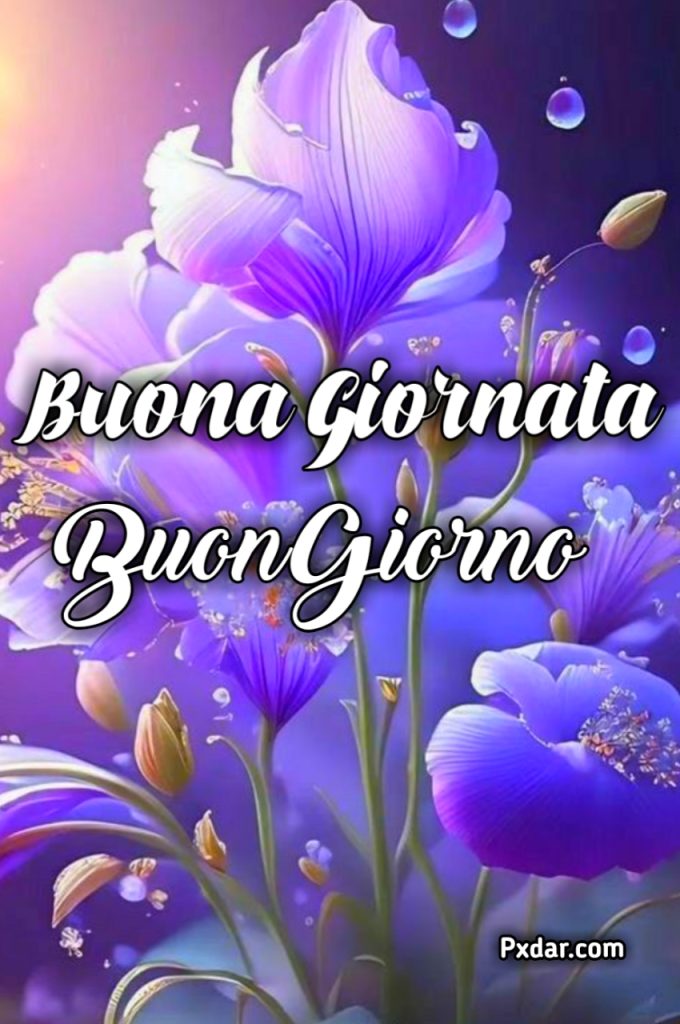 Stickers Buongiorno Gratis Whatsapp 22