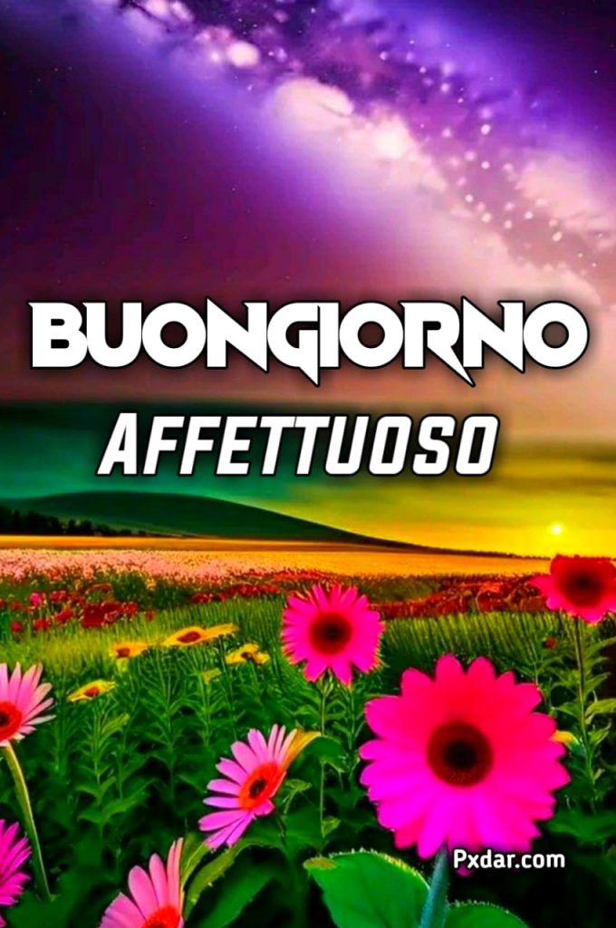 Un Buongiorno Affettuoso