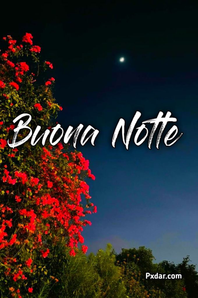 Un Semplice Saluto Buonanotte