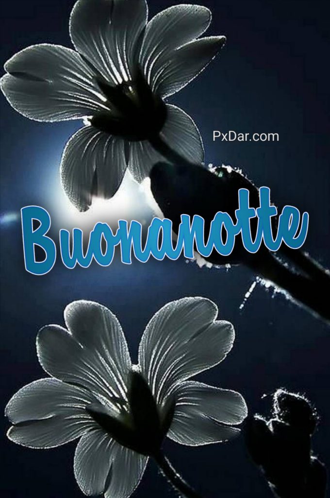 Whatsapp Buonanotte Speciale