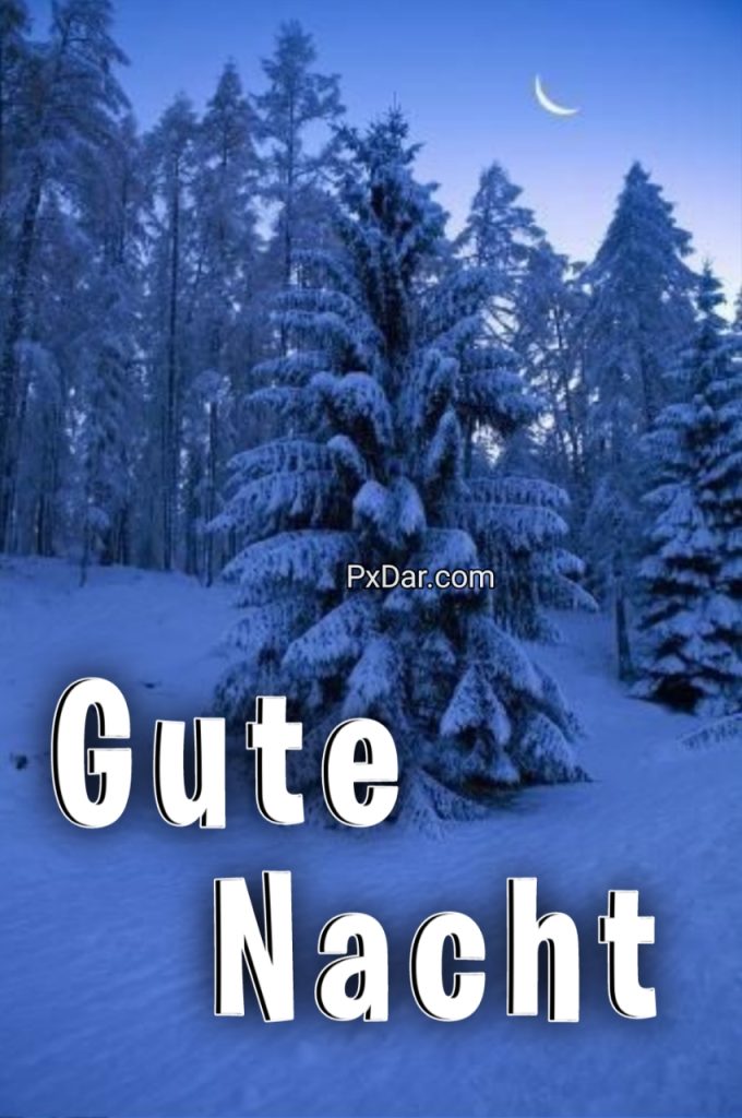 Winterliche Gute Nacht Grüße