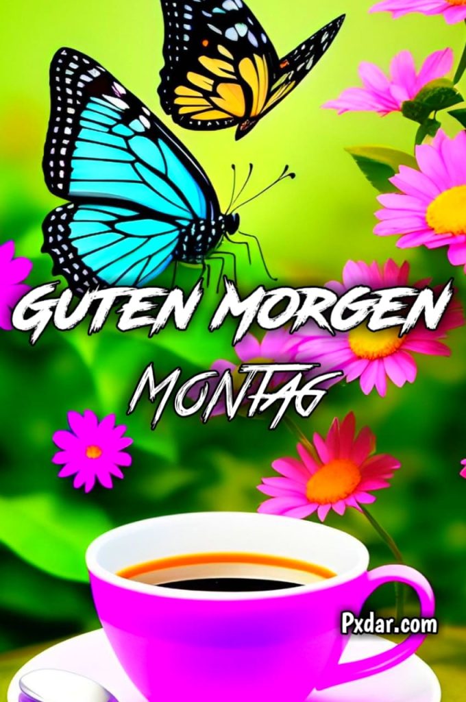 Wochenstart Guten Morgen Montag Lustig