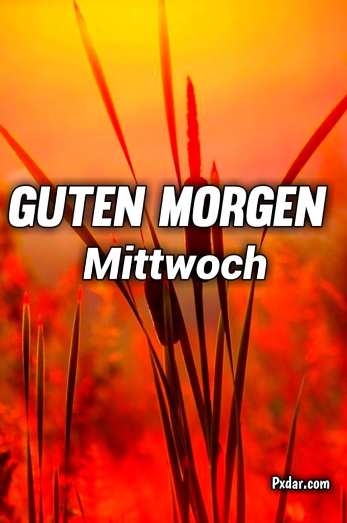 Wochenteiler Guten Morgen Mittwoch Gif