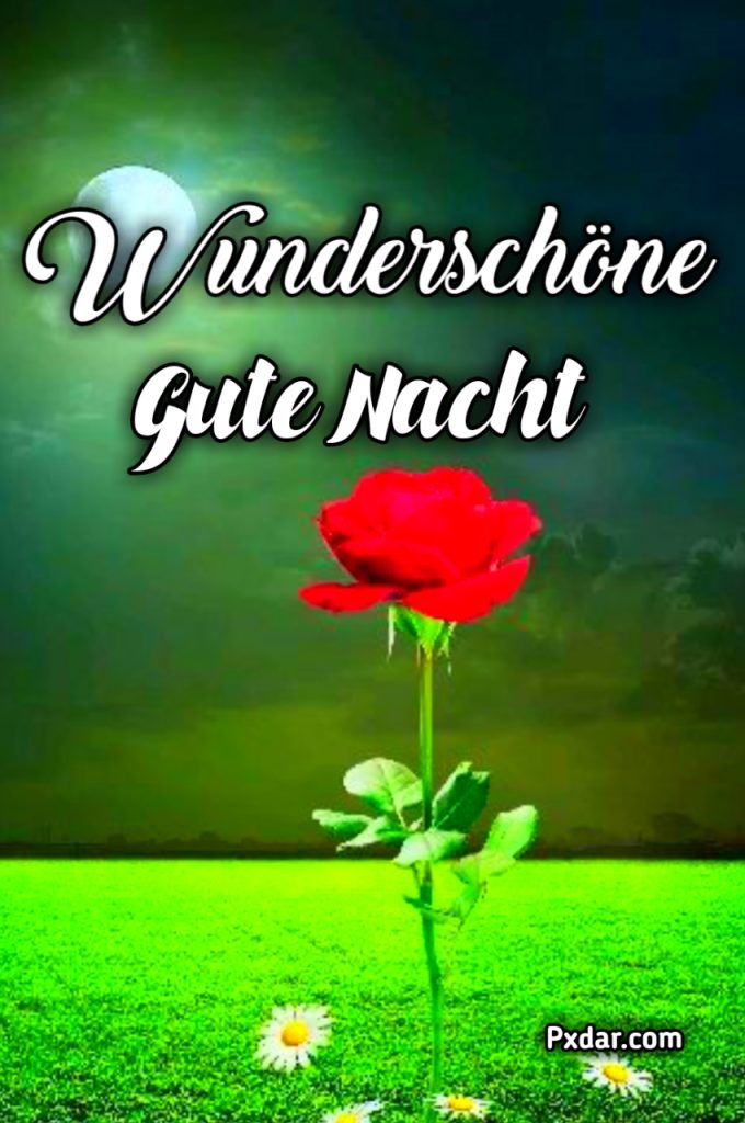 Wunderschöne Gute Nacht Bilder