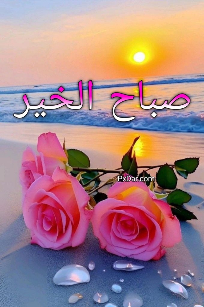 صور صباح الخير شاب يهدى ورد للتصميم