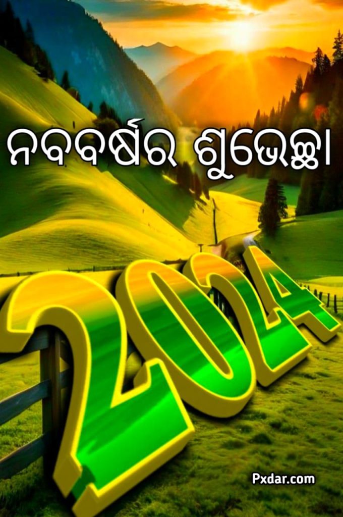 ନୂତନ ବର୍ଷର ଉପହାର