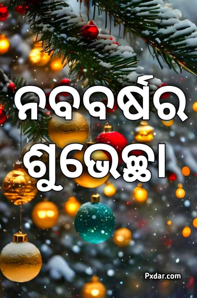 ନୂତନ ବର୍ଷର ଶୁଭ 2024 Hd ପ୍ରତିଛବି