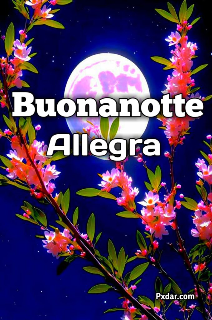 100 Immagini Buonanotte