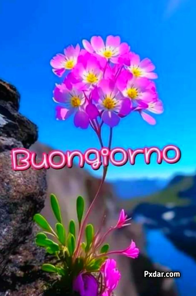 100 Immagini Buongiorno Gif Nuove