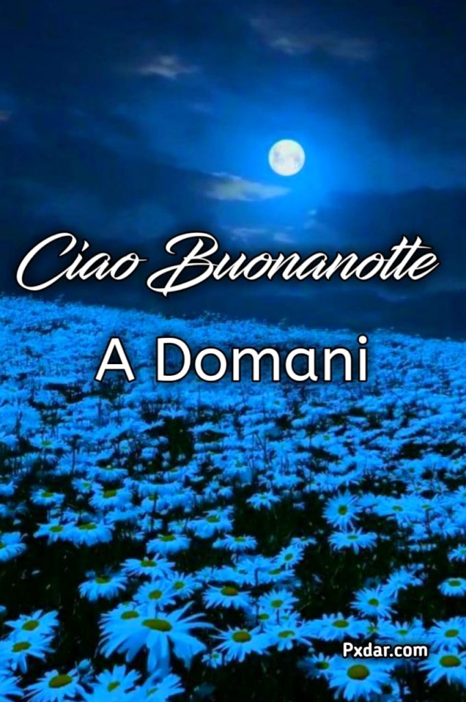 A Domani Buonanotte