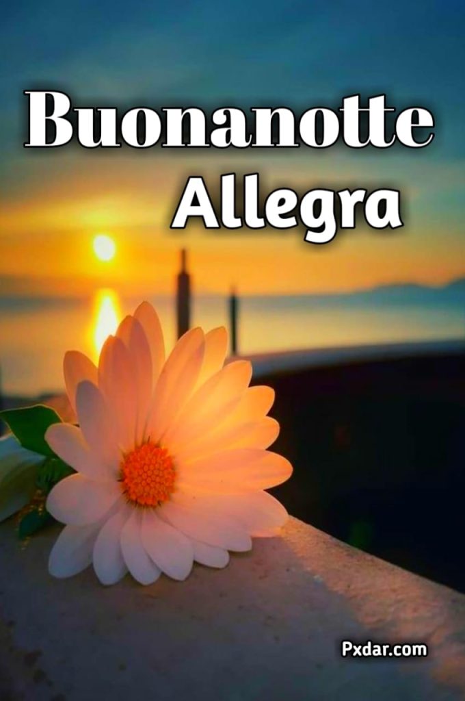 Allegra Buonanotte