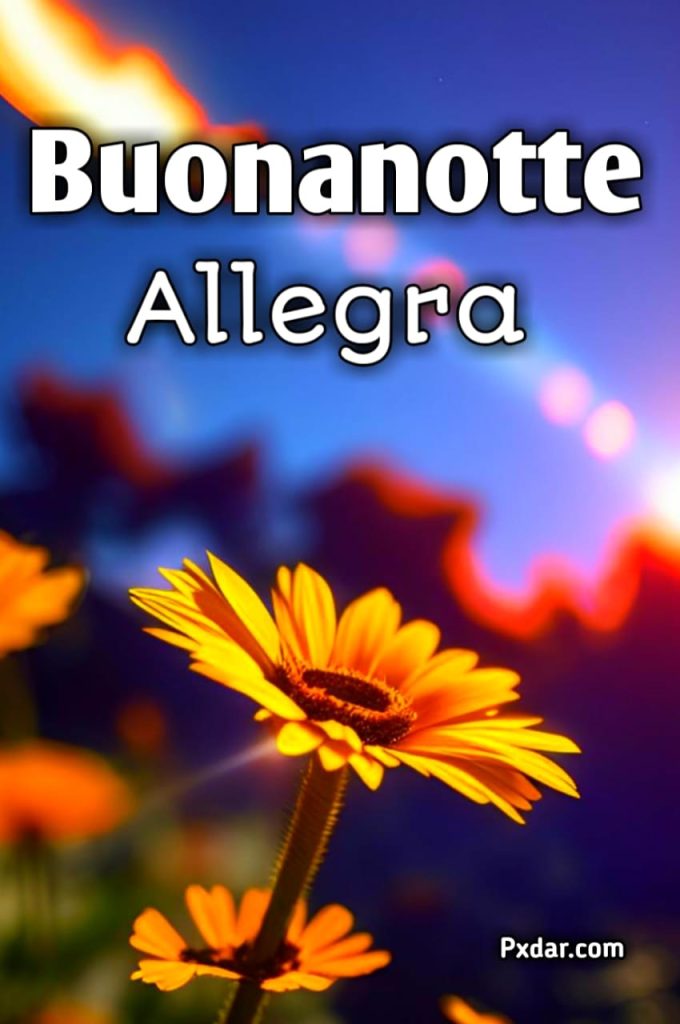 Animata Buonanotte Allegra