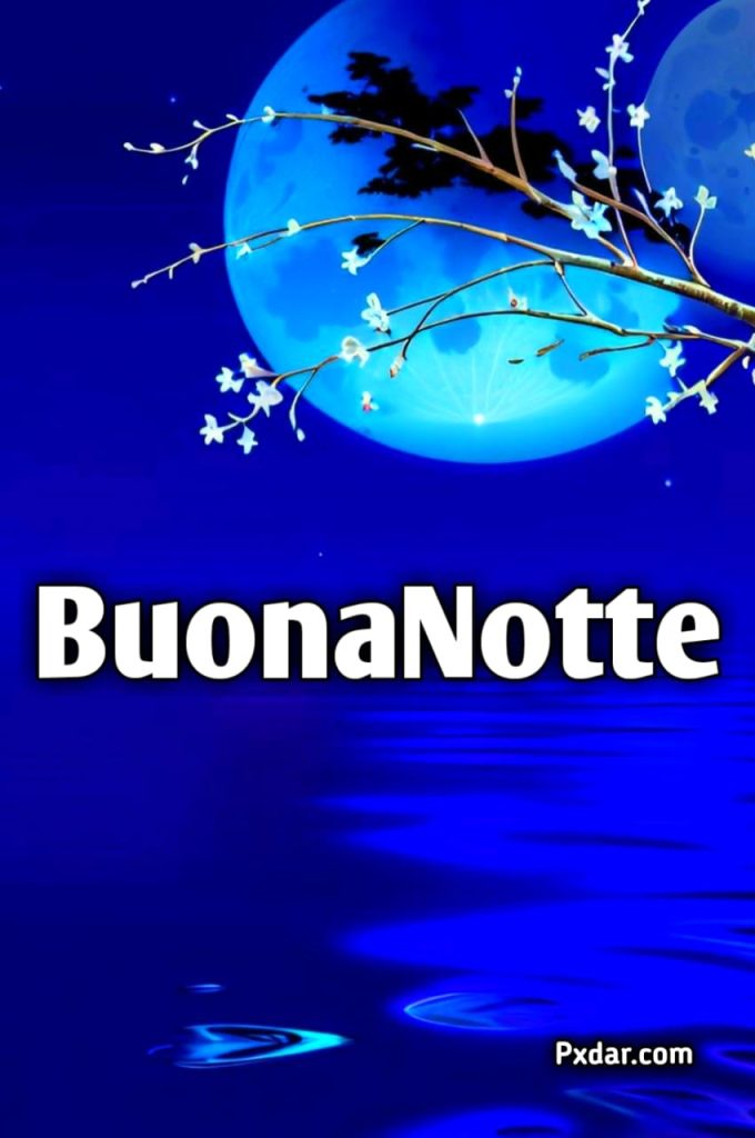 Argentata Buonanotte Luna