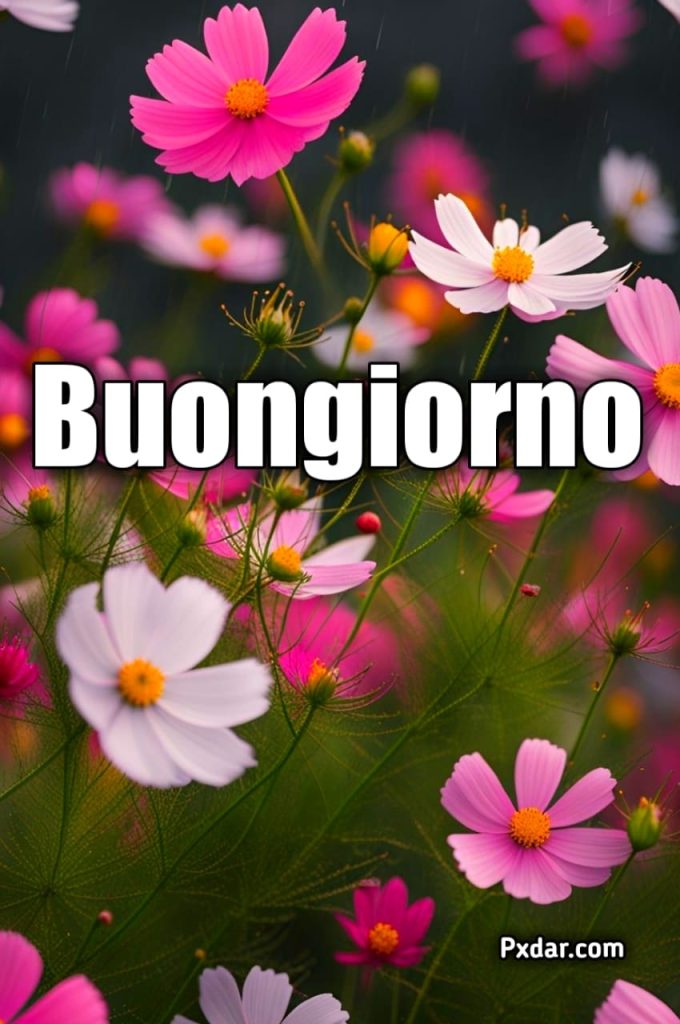 Bellissime Buongiorno Con Fiori