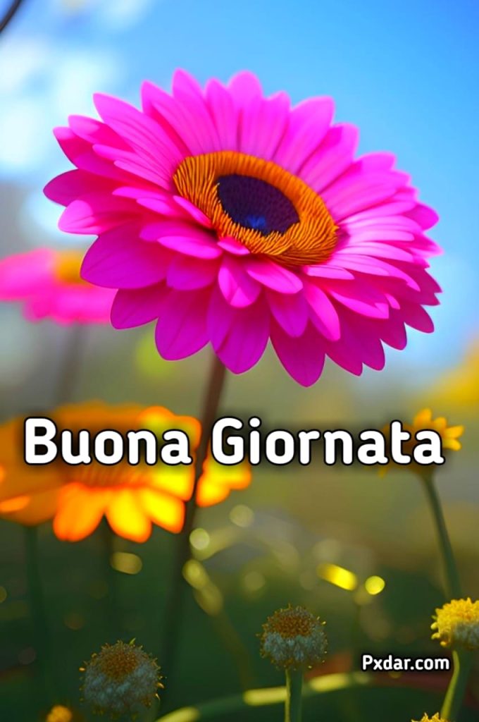 Buon Giorno