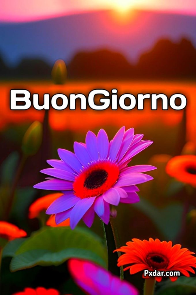 Buon Giorno