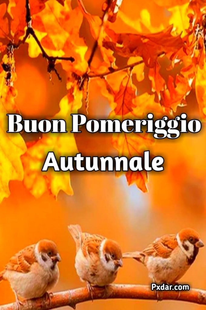 Buon Pomeriggio 2024