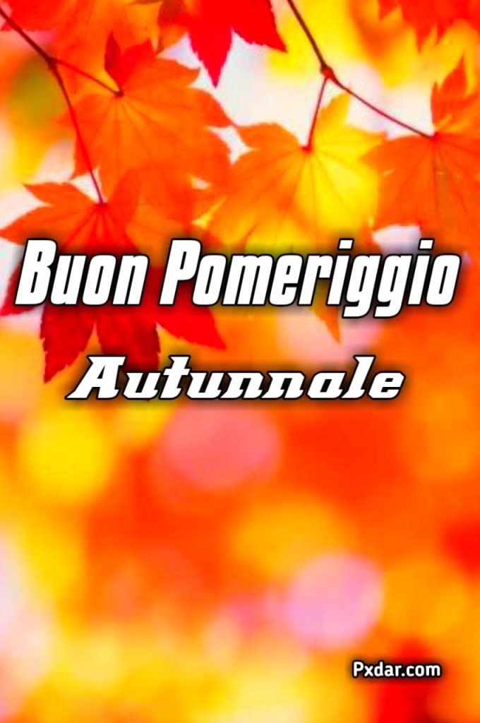 Buon Pomeriggio Autunnale